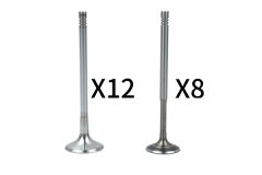 Ventili Komplet Ali VW Audi 058109601C 058109611M B18636 Borsehung