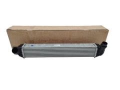 Hladilnik Polnilnega Zraka Original Renault Laguna III 1,5 DCI 144610001N