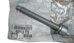 Vijak 10X150-80 Nov Original 6913.T5 6913T5 Citroen Peugeot