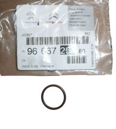 Tesnilo, tesnilni obroč Wtrysku Nov Original 9666725880 Citroen C5 C6 3.0 HDI