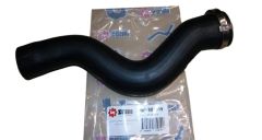 Cev za zrak 981919 8200648187 Renault Seim