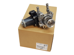 Egr Ventil Citroen Peugeot 9829870080 Original