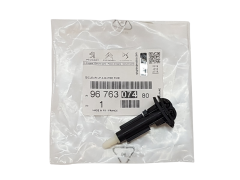 Šoba Brisalca Original Citroen C4 Picasso 9676307480