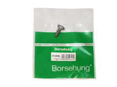 Vijak N91096702 B10646 VW Audi Seat Skoda Borsehung