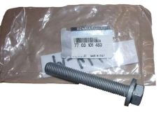 Vijak Nov Original 12x175 7703101463 Renault