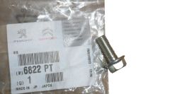 Vijak Pompy Wody Nov Original 6822.PT 6822PT Citroen C1 Peugeot 107