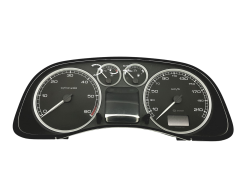 Merilnik hitrosti Peugeot 307 9646742480 0R00 Sagem 59155
