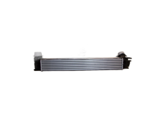 Hladilnik Polnilnega Zraka REN 144960600R