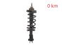 Blažilnik Spredaj 543023828R 540100864R 93463333 Renault Trafic 3 2.0 DCI