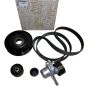 Komplet zobatega jermena Nov Original 117200022R Renault