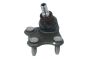 Krogelni Zglob Desni 6R0407366 B11339 VW Audi Seat Skoda Borsehung