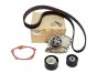Komplet zobatega jermena Renault 1.9 dCi 119A04462R Nov Original