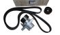Napenjalo Pogonskega Jermena Original 7701479150 Renault Dacia