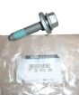 Vijak Nov Original 7703602318 Renault