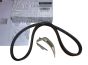 Pogonski jermen Original 8201712784 4PK798 Renault Dacia