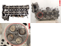 Glava motorja BMW Rover Land Rover 2247038 11 2.0 CDT M47R
