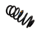 Vzmetna Spirala Zadaj Clio 4 550202966R Grandtour Renault
