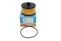 Oljni Filter PURFLUX L441 152095084R