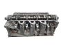 Glava motorja 110421615R 110413019R 1.5 dCi Renault Nissan S17