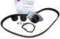 Napenjalo Pogonskega Jermena Ali Citroen Peugeot KH 189WP31 1609524880 Hutchinson