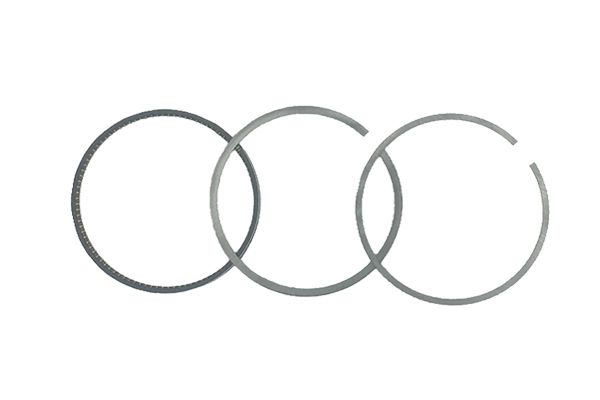 Batni obroči Ali VW Audi 06E198151J B19052 Borsehung main product photo